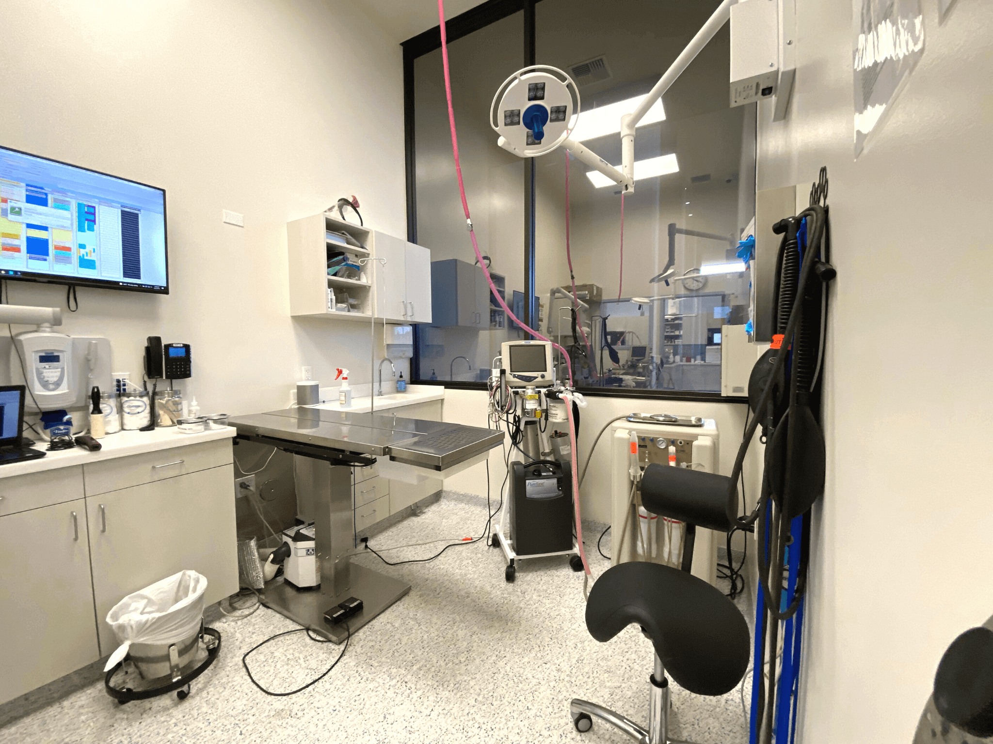 Dental Suite
