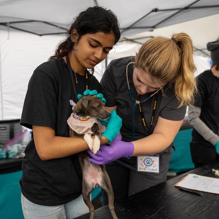 Dr Olken and Assistant Examine a Patient