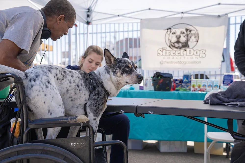 The Street Dog Coalition