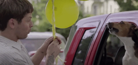 Terrier barking out of a car window at a man holding a yellow balloon.