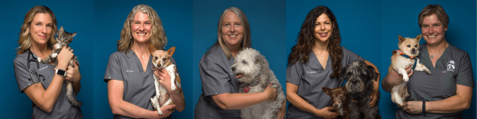 Banner of LCAH's 5 doctors holding pets.