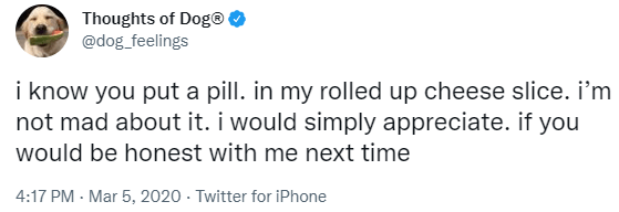 Screenshot of tweet from "Thoughts of Dog" that says: "i know you put a pill. in my rolled up cheese slice. i'm not mad about it. i would simply appreciate. if you would be honest with me next time."