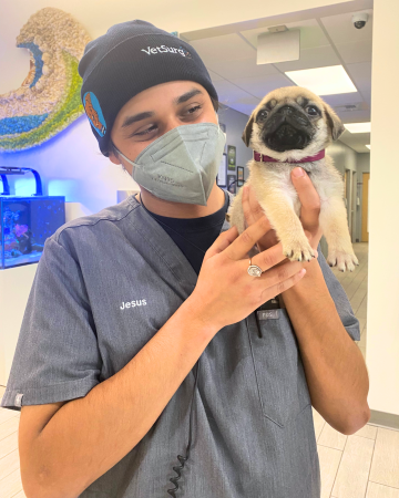 Tech Assistant Jesus holding a pug puppy in the LCAH lobby.