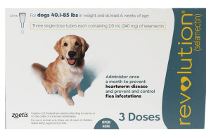 Box of Revolution for Dogs