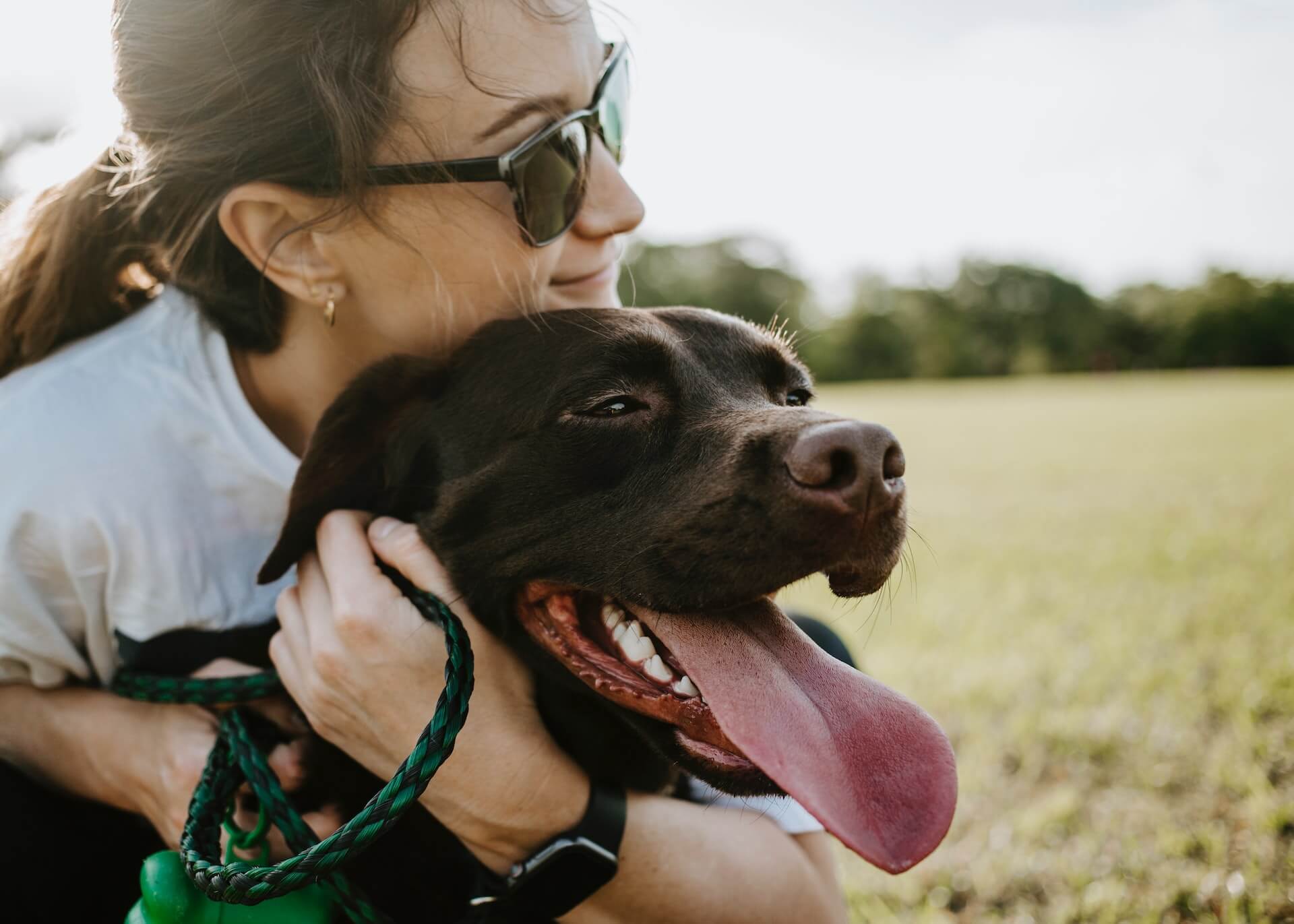 Brunette woman hugging chocolate Labrador.