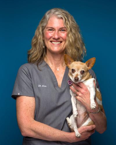 Dr. Eve Kuesis