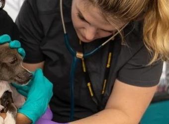 Celebrating One Year with Dr. Elizabeth Olken